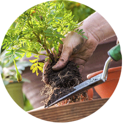 GARDENING GARDENING